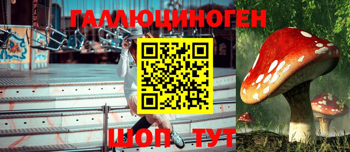 Псилоцибиновые грибы Psilocybe  Вход с VPN  Галлюциногенные грибы Psilocybe  Новочебоксарск 
