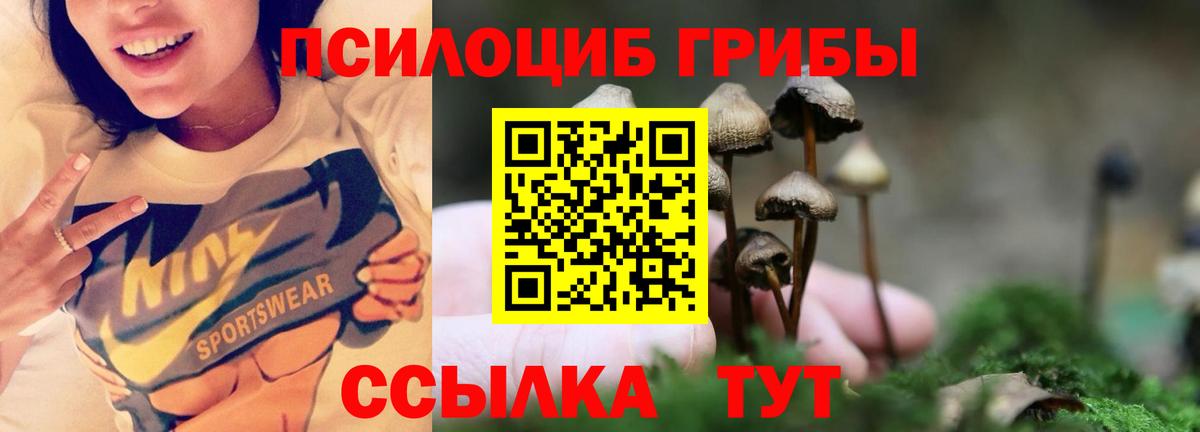 Галлюциногенные грибы Magic Shrooms Новочебоксарск